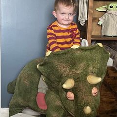 Ride on Dinosaur