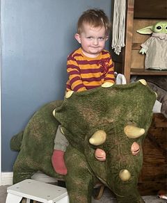 Ride on Dinosaur