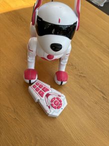 Zoey the Robo Dog