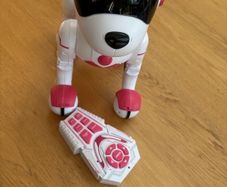 Zoey the Robo Dog