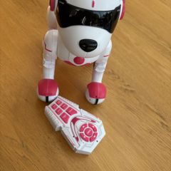 Zoey the Robo Dog
