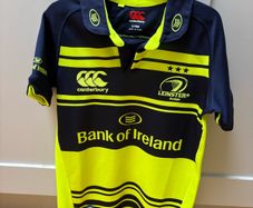 New Leinster Jersey