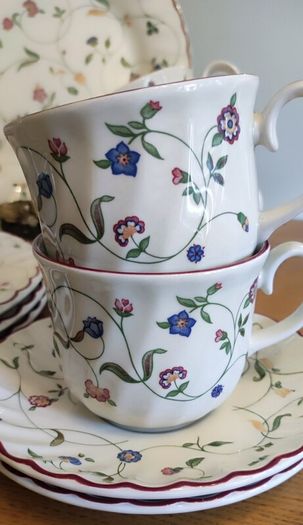 Set of 20 pcs Vintage Staffordshire Oakwood Floral with Burgundy Rim England