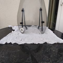 Motorcycle screens