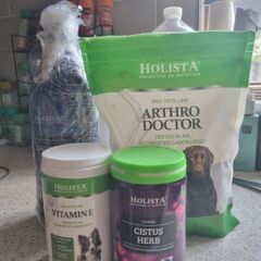 Holista Supplements for dogs