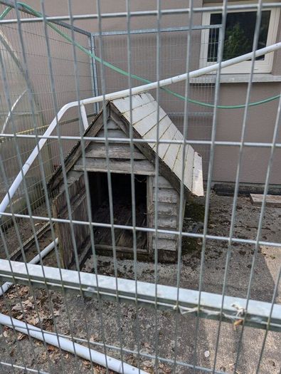 Dog Run and house.   Galvanized