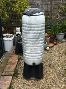Garden Rain Butt