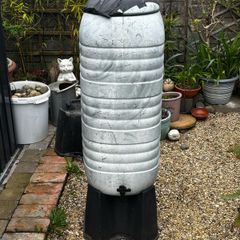 Garden Rain Butt