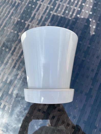 Pot with attached saucer