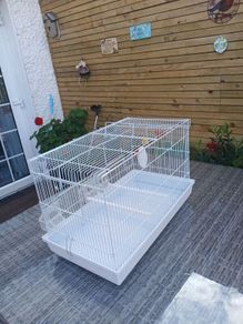 bird cage