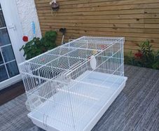 bird cage