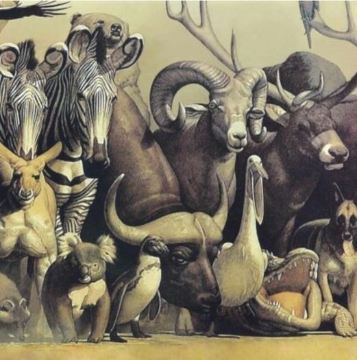 Noah's ark by Haruo Takino 1000 panorama Jigsaw puzzle