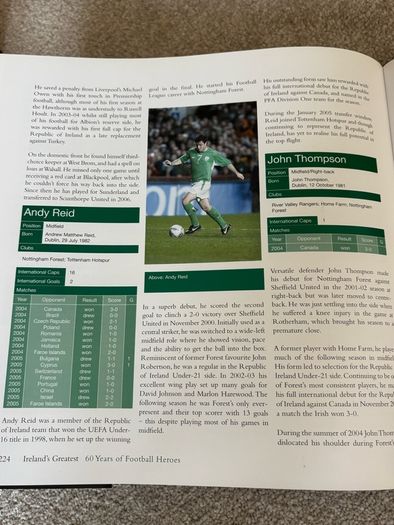 Ireland's Greatest: 300 Top Football Heroes Book