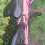bikes Image 3