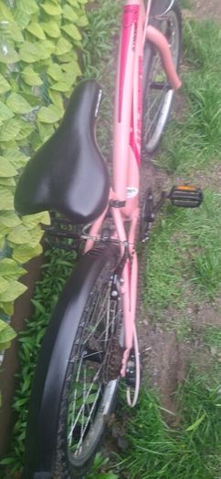 bikes