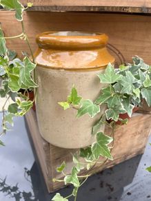 Large stoneware Jam Croc