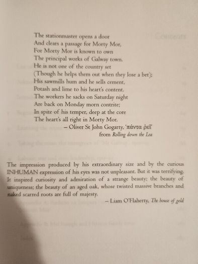 He Was Galway. Mairtin Mor Mcdonagh 1860- 1934. By Jackie Ui Chionna. First Edition Paperback In Good Condition.