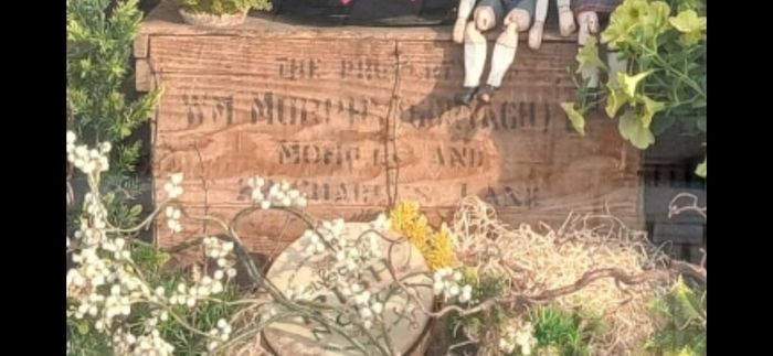 Vintage Wooden Egg Crate WM Murphy Gorvagh, Mohill & Dublin
