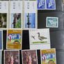 Ireland Page of Mixed Stamps Most Mint Condition few Used See Pictures 2 Sides of Holder Image 3