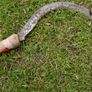 Vintage hand sickle Big primitive farm tools Vintage hand carved tool Image 2