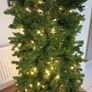 Christmas Tree Image 3