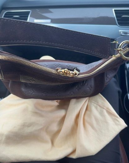 louis  vuitton bag
