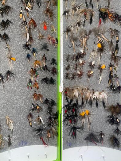 Fly Collection
