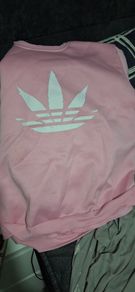 Jumper