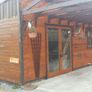 Douglas fir Image 5