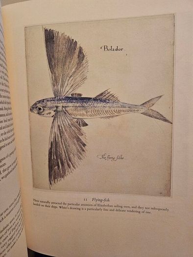 The First Colonists. Hakluyt's Voyage To North America. Introduction By A.l.rowse. All 16 Watercolours By John White. First Edition Second Print Large Volume Hardback In Good Condition   See Photos For Same.