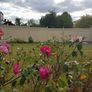 Fencing Image 2