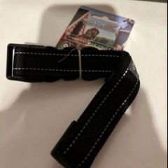 dog collar