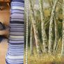 Trees, canvas art Image 5