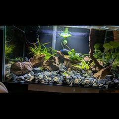 Fluval Edge 23L Aquarium