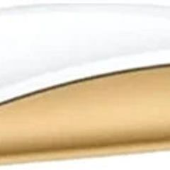 Genuine Apple Magic Mouse (USB-C) Yellow/ Gold - Multi Touch- Rechargeable A3204 (Brand New)