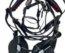 horse harness