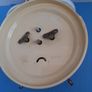 vintage Large Jerger alarm Clock Image 4