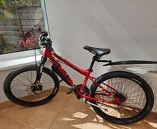 junior bike