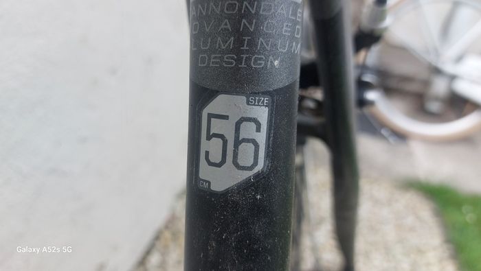 Cannondale Synapse bike