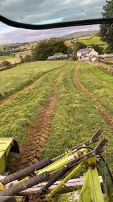 Pit silage