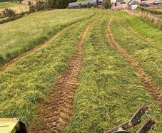 Pit silage