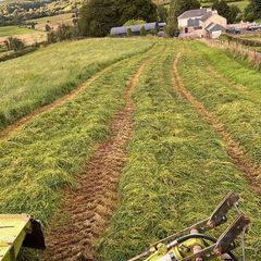 Pit silage