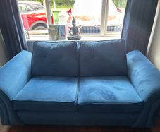 Velvet couches