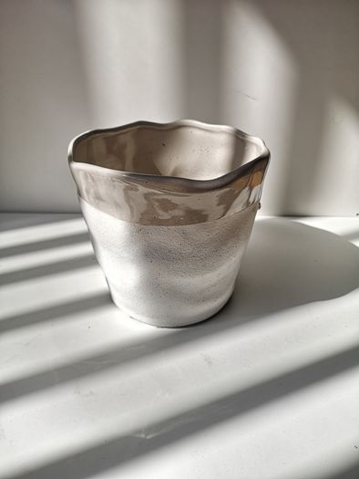 2 Ceramic White Plant Pots