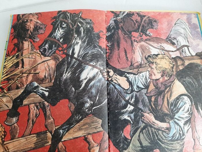 Black beauty vintage 1985 annual