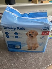 Puppy pads 100 pk