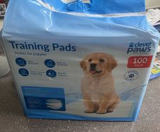 Puppy pads 100 pk