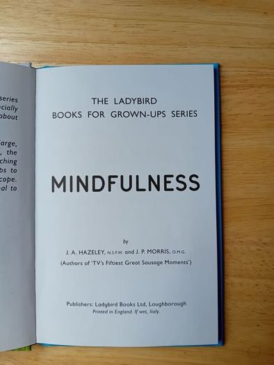 Mindfulness- Ladybird For Grown Ups Book