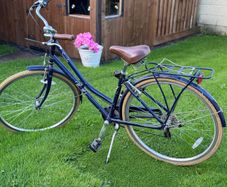 Adult Bike