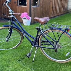 Adult Bike